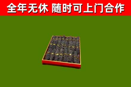 西昌回收海参